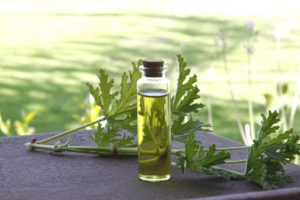 Æteriske olier kan bruges til medicinske og kosmetiske formål